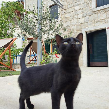 Apartmani Peljesac Sova セレセル エクステリア 写真
