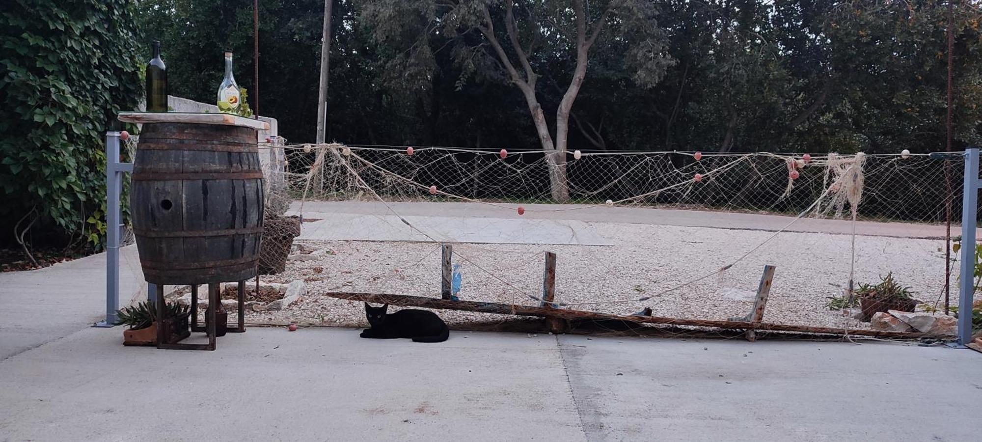 Apartmani Peljesac Sova セレセル エクステリア 写真