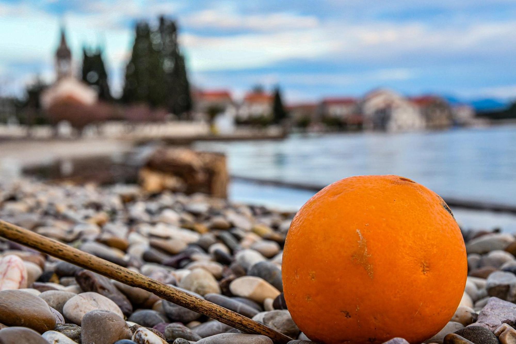Apartmani Peljesac Sova セレセル エクステリア 写真