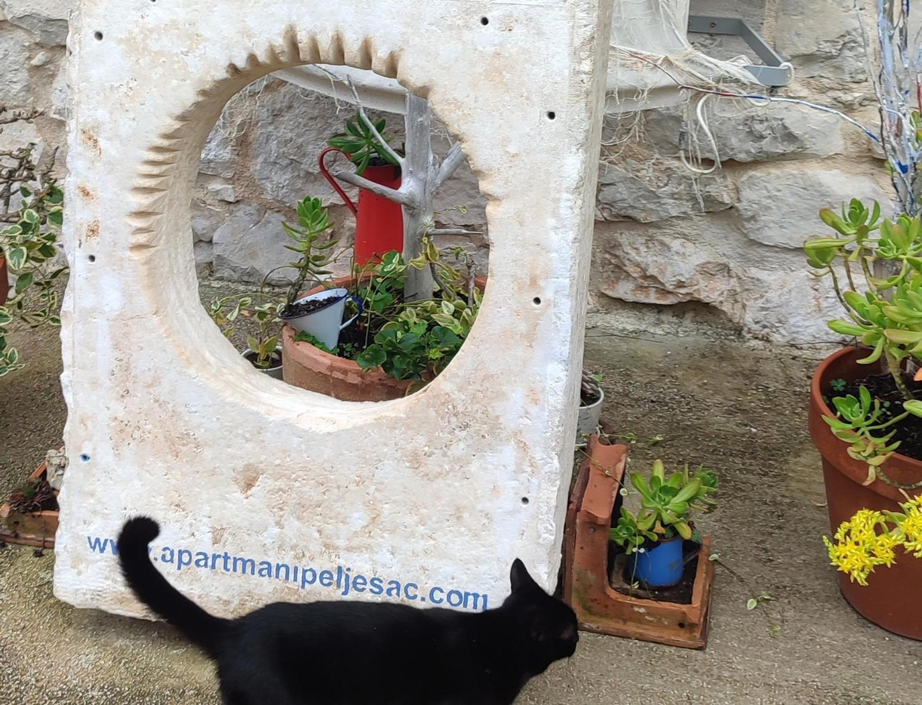 Apartmani Peljesac Sova セレセル エクステリア 写真